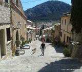 Bild zu Urlaub ohne Hindernisse  Tipps fr eine barrierefreie Reise nach Mallorca