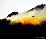 Bild zu Grlitzer Feuerwehr in der Schsischen Schweiz