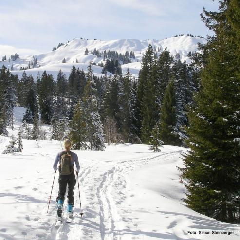 Bild zu Wintersport rund um Grlitz