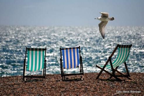 Bild zu Tipps fr einen Urlaub im Ferienhaus
