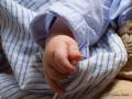 Die schnsten Kinderbetten: Von Schlafparadies bis Haus-Kinderbett
