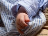 Bild zu Die schnsten Kinderbetten: Von Schlafparadies bis Haus-Kinderbett