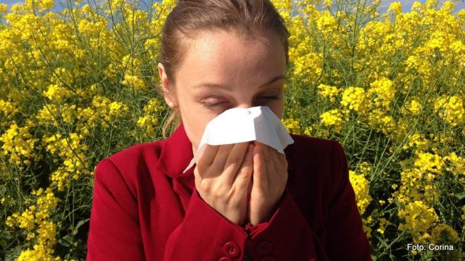 Bild zu Was bei einer Allergie passiert