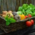 Mehr Bewegung im Alltag  wie Haus und Garten fit halten