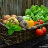 Bild zu Mehr Bewegung im Alltag  wie Haus und Garten fit halten
