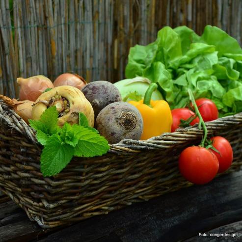 Bild zu Mehr Bewegung im Alltag  wie Haus und Garten fit halten