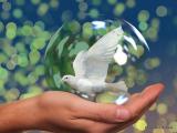 Bild zu Was macht den Frieden sicherer?