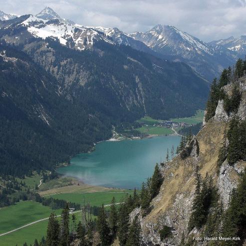Bild zu Urlaub in Grn im Tannheimer Tal