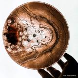 Bild zu Groe Vielfalt der Epoxid-Harze zum Bauen und Basteln 