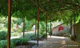 Bild zu Die Pergola im Wandel der Zeiten