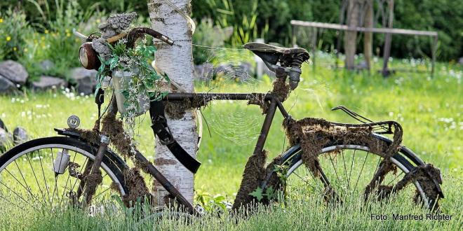 Bildtitel: Reparieren und mitnehmen Bild zu Reparieren und mitnehmen