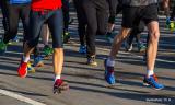 Bild zu Straenbaustellen und Europamarathon in Grlitz