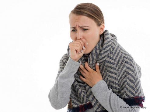 Bild zu Coronavirus in Grlitz angekommen