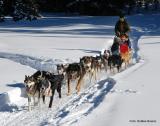 Bild zu Mit dem Auto in den Weihnachtsurlaub fahren trotz Corona 
