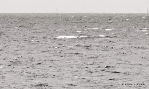 Bild zu Hospitalstrae fllt ins Wasser