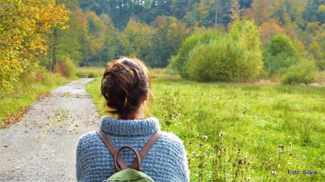 Bildtitel: Die Trendfarben für den Herbst 2019 Bild zu Die Trendfarben für den Herbst 2019