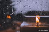 Bild zu Zu Hause ists am gemtlichsten