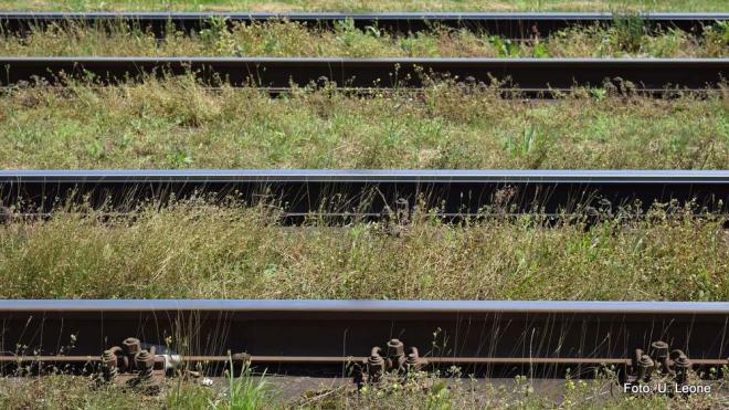 Einladung zur Bürgerversammlung zum Bebauungsplan Nr. 42 "Ehemaliges Bahngelände Schlauroth" Einladung zur Bürgerversammlung zum Bebauungsplan Nr. 42 "Ehemaliges Bahngelände Schlauroth"