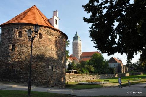 Bild zu Ex Oriente Vinum