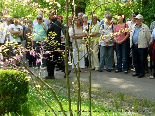 Bild zu Friedhofsfhrungen zum Tag des Baumes