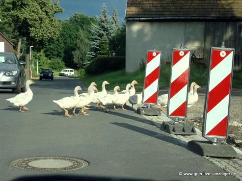 Bild zu Drei Vollsperrungen in Grlitz