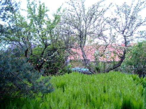 Bild zu Weihnachtszeit ist Gartenzeit
