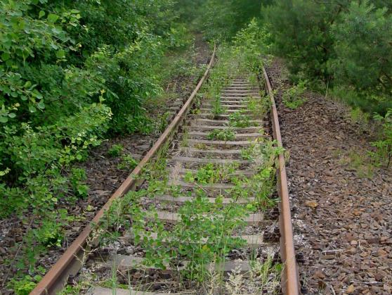 Bild zu Oberlausitz: Kommt die Eisenbahn zurck in die Flche?