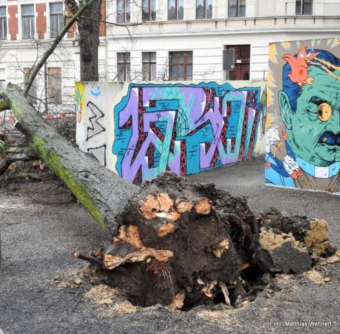 Bild zu Baum fllt auf Spielplatz