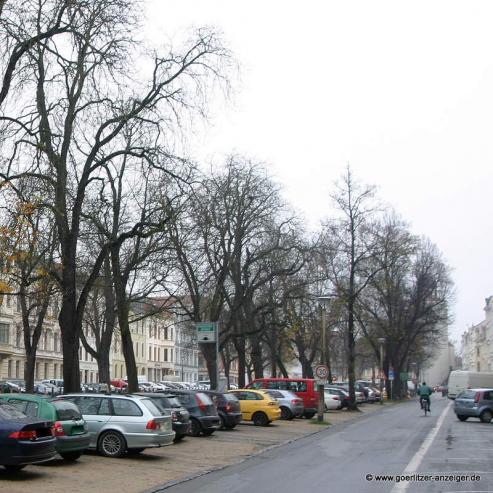 Bild zu Mehr Parkpltze rund um die Grlitzer Altstadt?