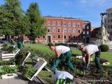 Bild zu In Grlitz erblht der Sommer