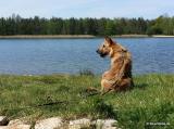 Bild zu Coronavirus stagniert in Landkreis Grlitz