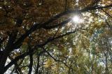 Bild zu Corona und Schulbeginn