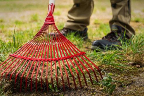Bild zu Grne Arbeit, rote Zahlen: Lohnkampf im Gartenbau