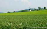Bild zu Coronastagnation im Landkreis Grlitz