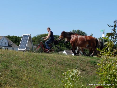 Bild zu Hiddensee  im Humboldthaus Grlitz
