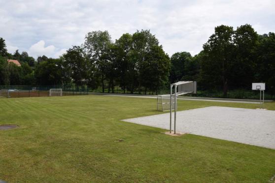 Bild zu ber 680 Rckmeldungen zur Sportbefragung in Grlitz