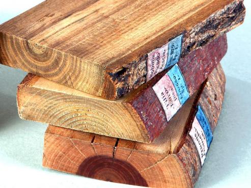 Bild zu Holzbibliotheken im Kulturhistorischen Museum Grlitz