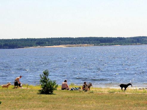 Bild zu "Landschaftspark Brwalder See" boomt