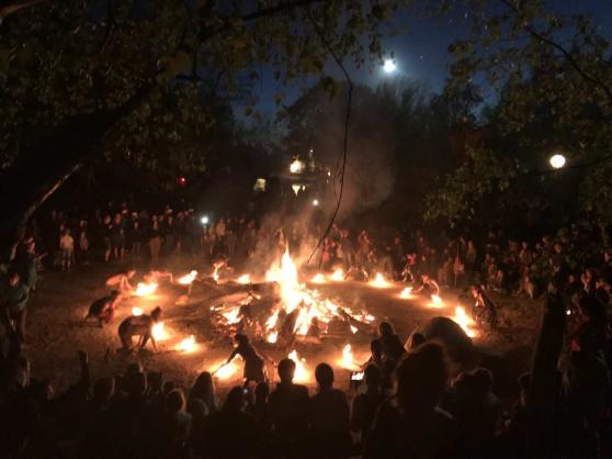 Bild zu Feuerfunken und Fackelglanz in Turisede