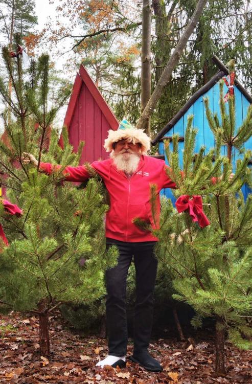 Bild zu Kostenlose Weihnachtsbume in Turisede