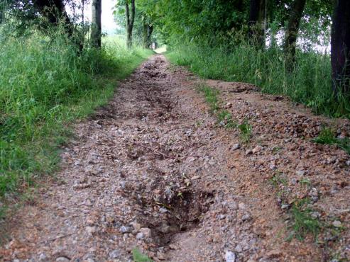 Bild zu Wasserschaden auf dem Schlaurother Kirchweg