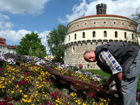 Bild zu Grlitzer Blumenuhr zeigt wieder das Stndlein