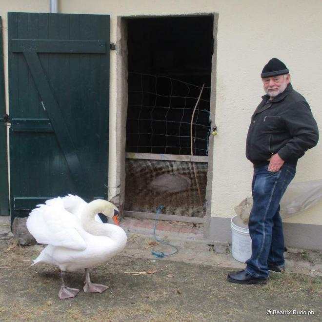 Bild zu 
