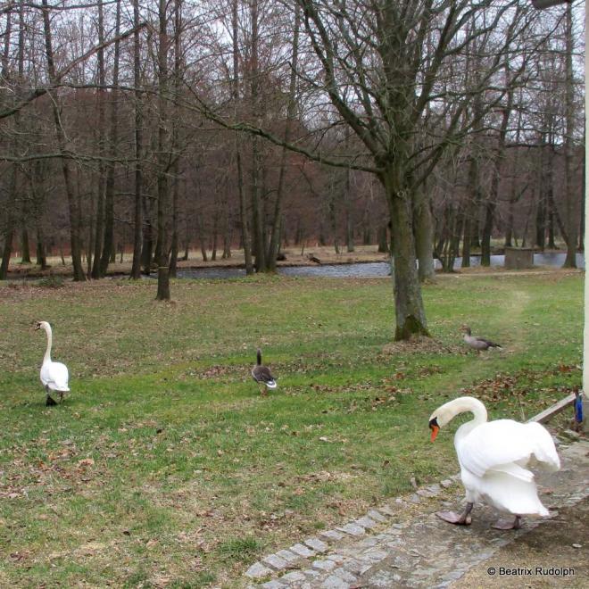 Bild zu 