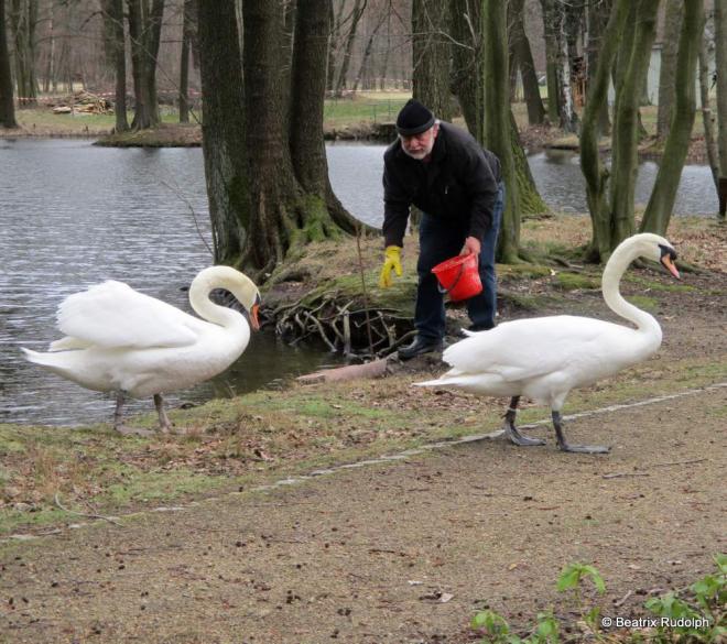 Bild zu 