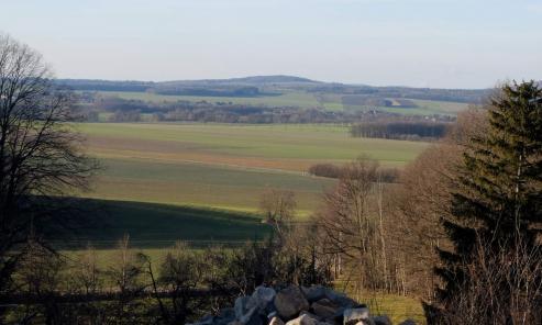 Bild zu Landwirtschaft und Biodiversitt im Humboldthaus Grlitz