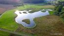 Bildtitel: Biotop am Nesselwanger Ried Bild zu Biotop am Nesselwanger Ried