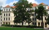 Bild zu Kutterrennen zwischen Grlitzer Gymnasien