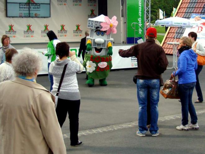 Bild zu 