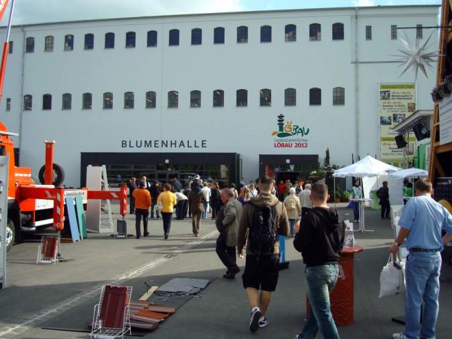 Bild zu 